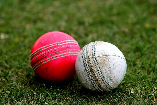 <p>Indonesia's Gede Priandana has become the first bowler to claim five wickets in an over in a T20 International</p>