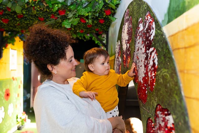 <p>Z-arts celebrated its 25th anniversary this Christmas</p>