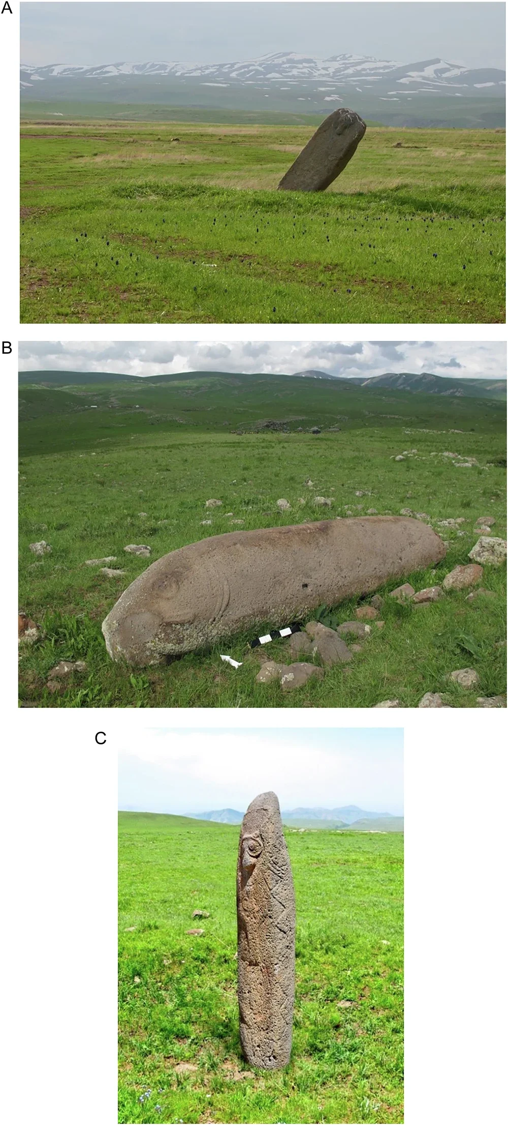 <p>Vishap in Armenia</p>