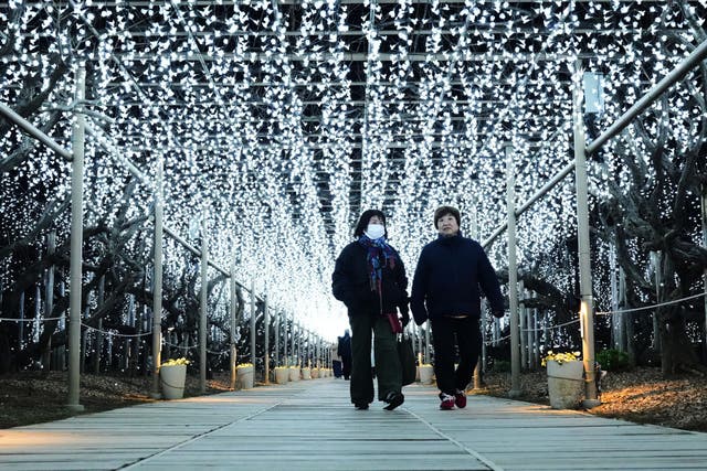 <p>People walk under the roof of seasonal lighting decorations at the Ashikaga Flower Park, north of Tokyo, on 19 December 2025</p>