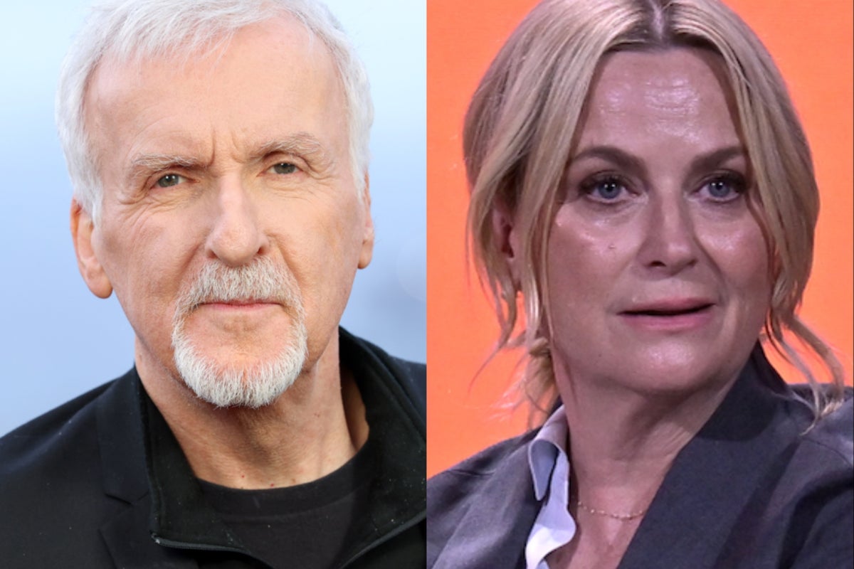 James Cameron calls out Amy Poehler&rsquo;s &lsquo;ignorant&rsquo; Golden Globes joke that &lsquo;went too far&rsquo;