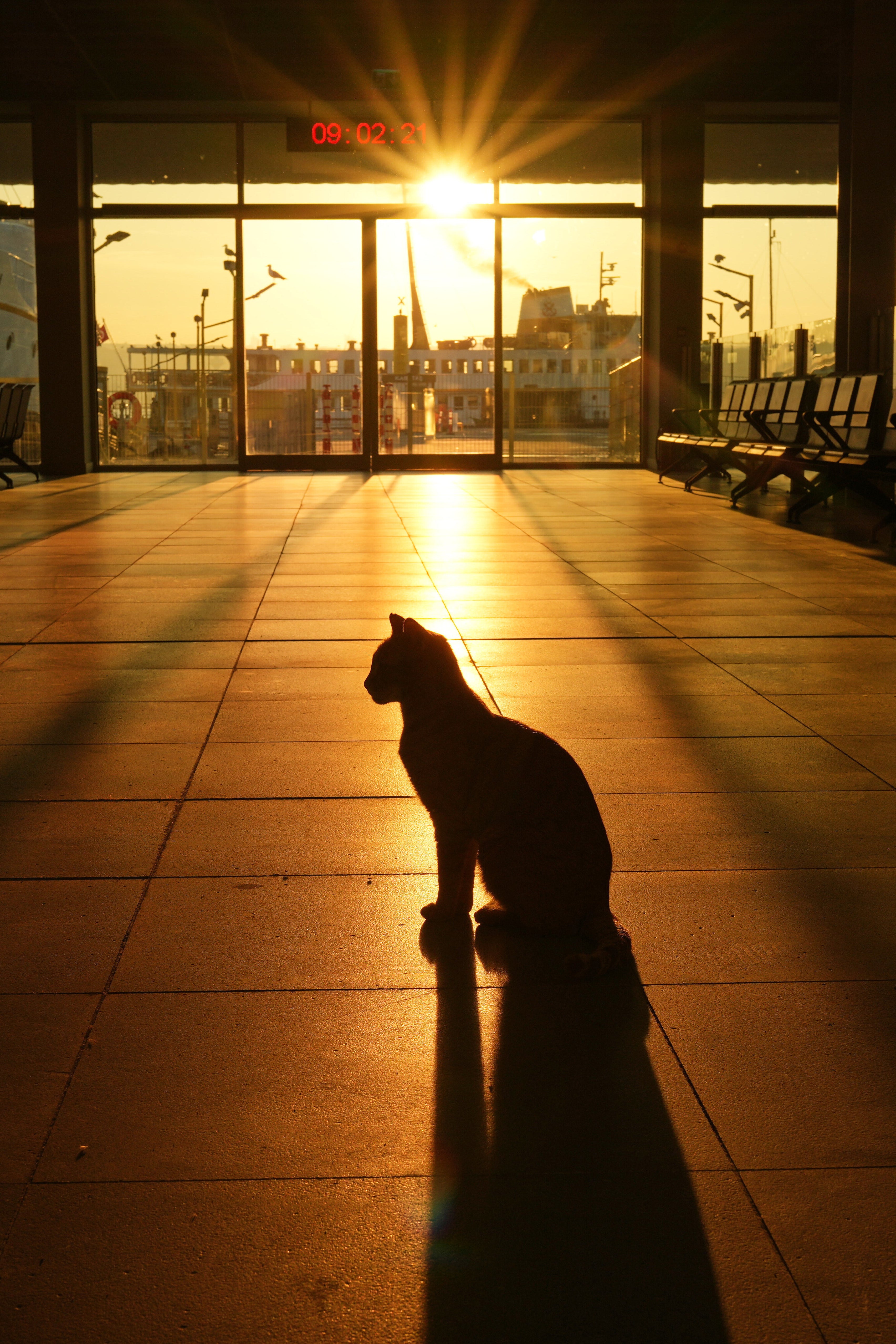 Top Vertical Photos Photo Gallery