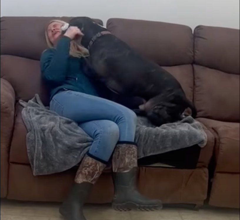 Felicia Fritz is reunited with her dog, Toby, after he disappeared for four years. Toby was adopted and later surrendered to the Friends of Michigan Animal Rescue. Fritz saw a picture of Toby posted on social media and the pair were reunited.