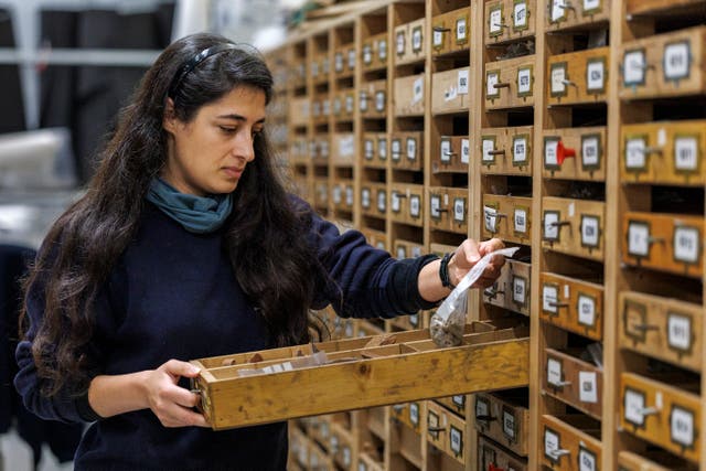 <p>Sapphire Mussen examines artefacts held at the archaeological store (Liam McBurney/PA).</p>