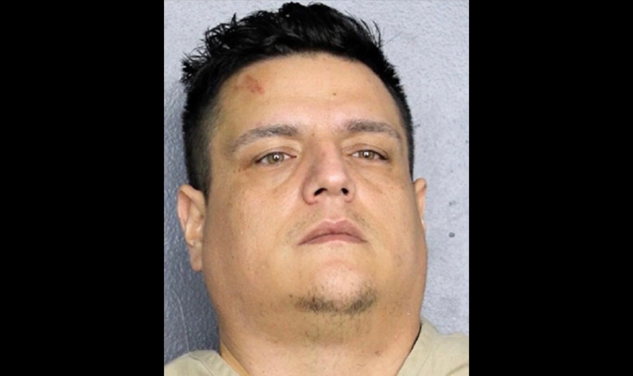 <p>Mario Alejandro Ramirez was arrested in Florida after he allegedly stabbed his pregnant wife to death in front of their three kids.</p>