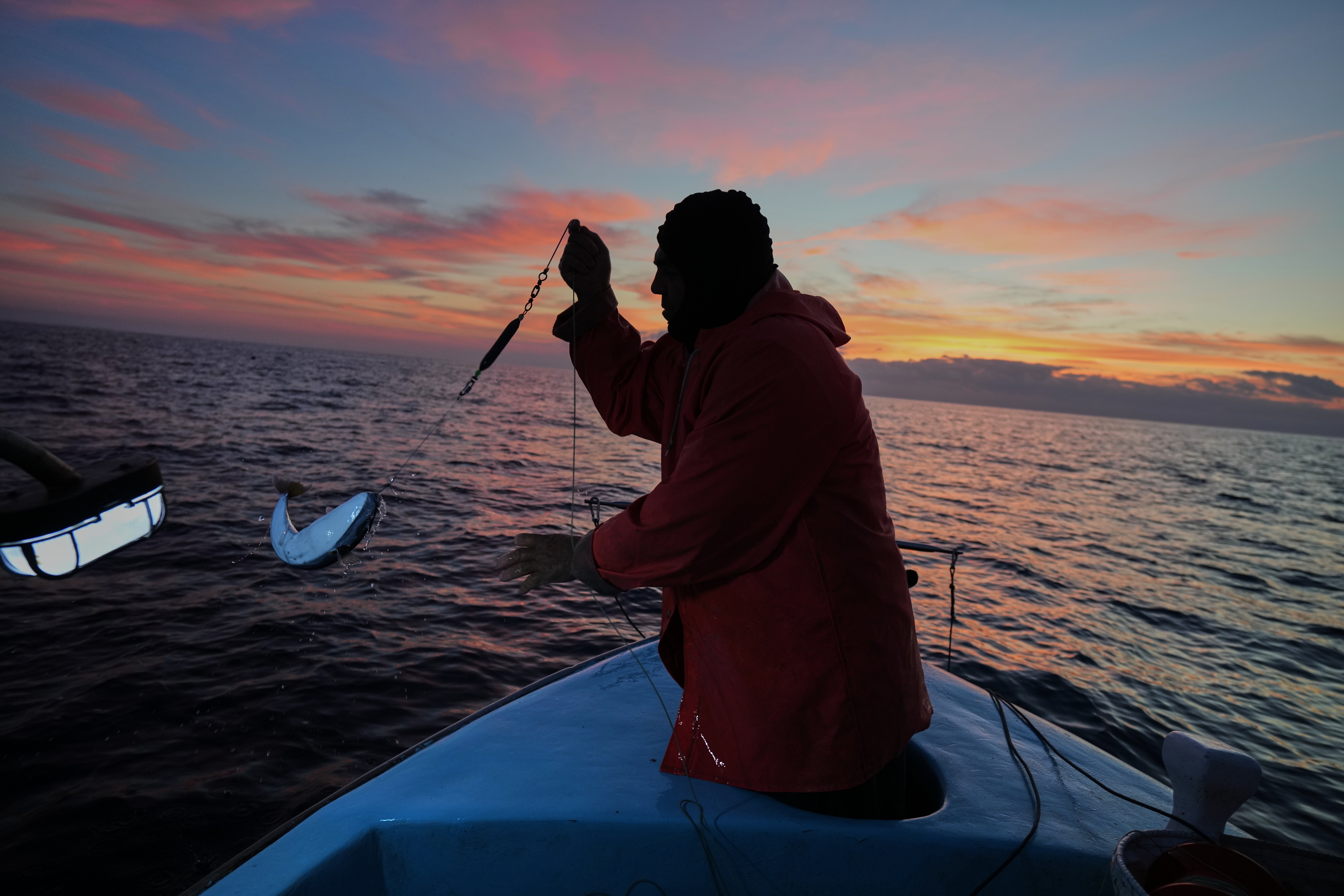 Photis Gaitanos catches a toadfish