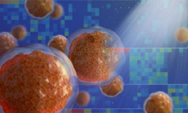 <p>Illustration shows cancer cells against heatmaps representing gene regulation</p>