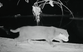 Wild cat feared extinct caught on camera after nearly 30 years in hiding
