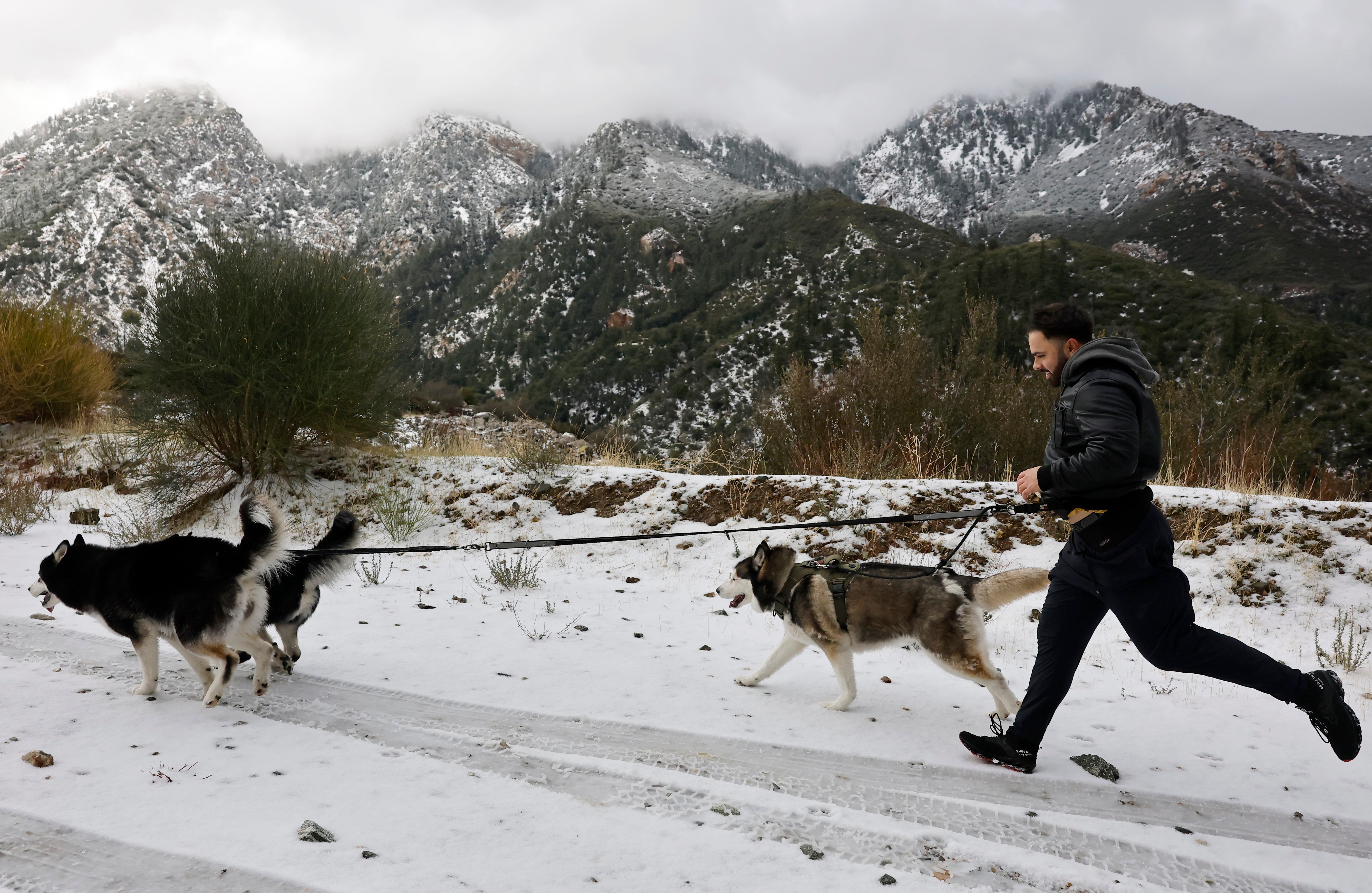 <p>Three hikers have been found dead in southern California, including a 19-year-old who fell 500 feet near the Devil’s Backbone trail of Mount Baldy, police say</p>