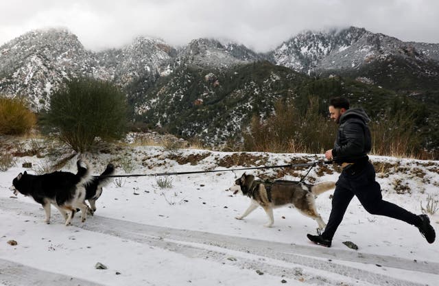 <p>Three hikers have been found dead in southern California, including a 19-year-old who fell 500 feet near the Devil’s Backbone trail of Mount Baldy, police say</p>