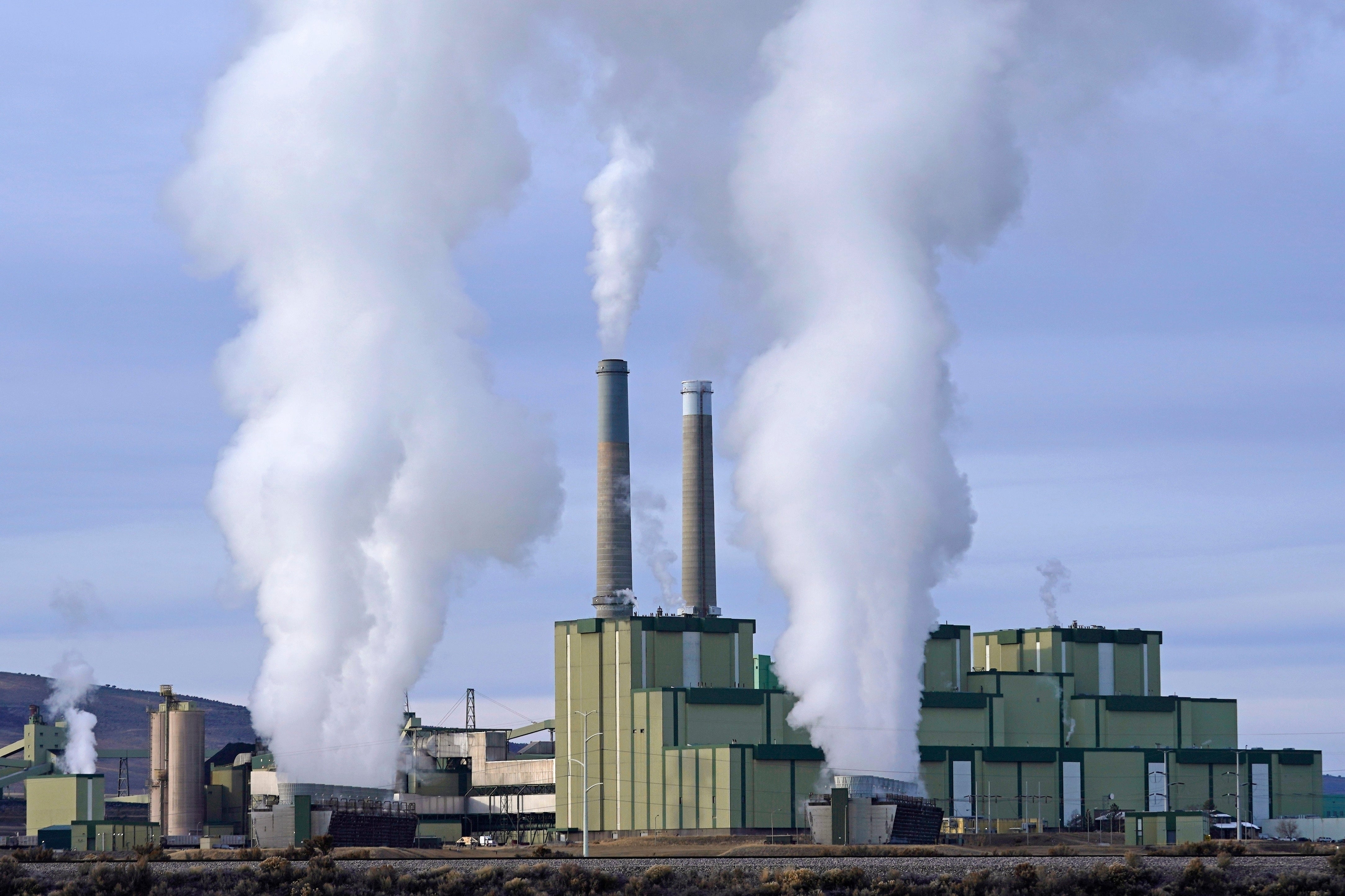 Trump-Coal