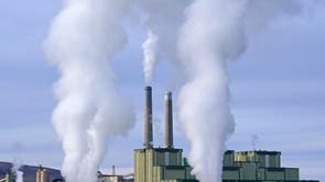 Trump-Coal