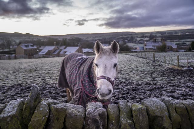 <p>Chilly conditions are forecast across the UK for the start of 2026 (Dannl Lawson/PA)</p>