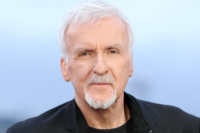 <p>James Cameron fotografiado el 4 de diciembre</p>