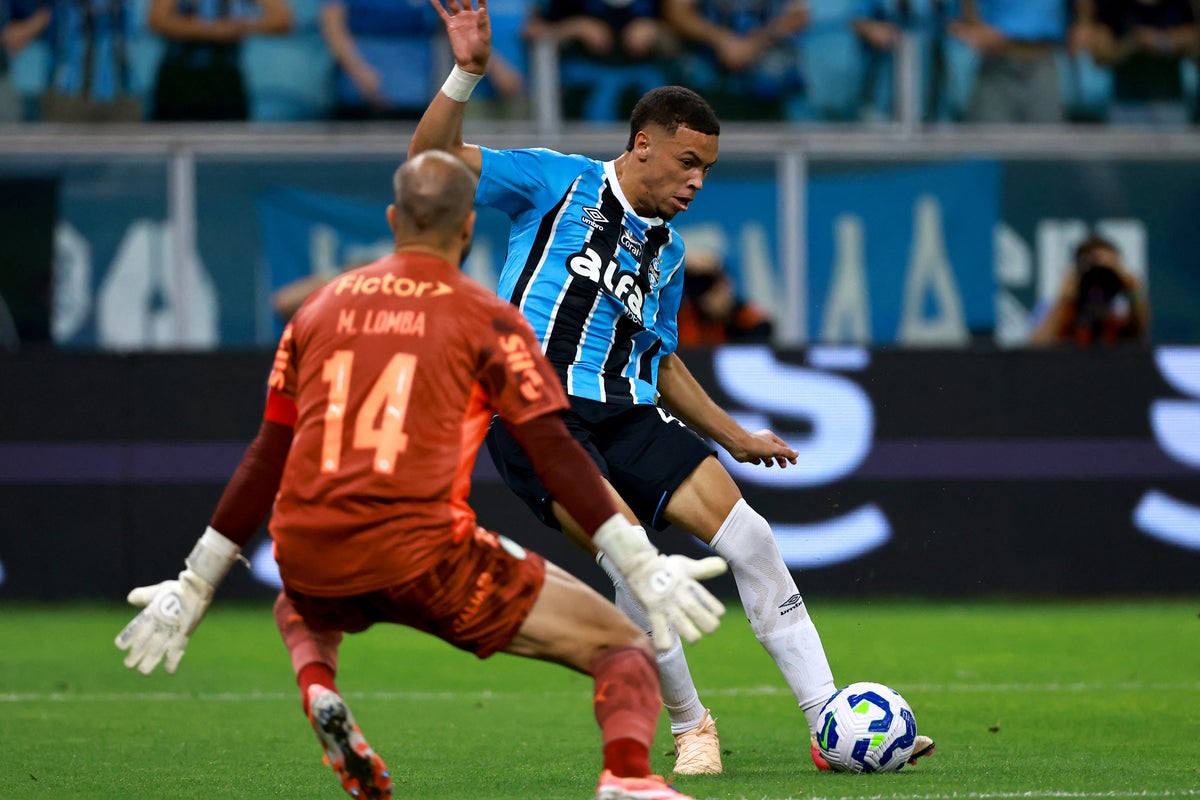 SEI275721442.jpeg?width=1200&amp;auto=webp&amp;trim=181,0,182,0