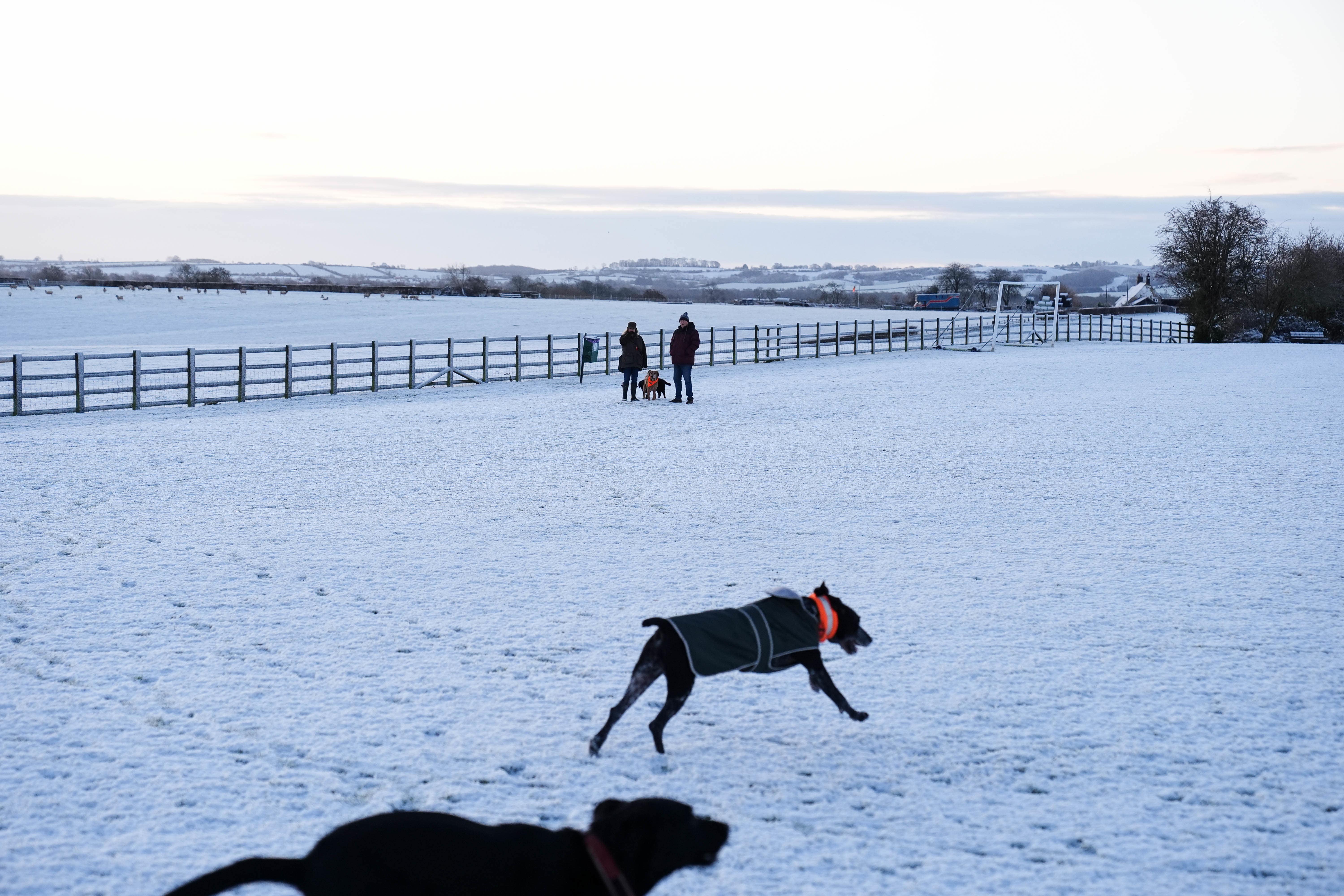 Dogs run across snow-covered fields in the village of Bishop’s Itchington in Warwickshire (Jacob King/PA)