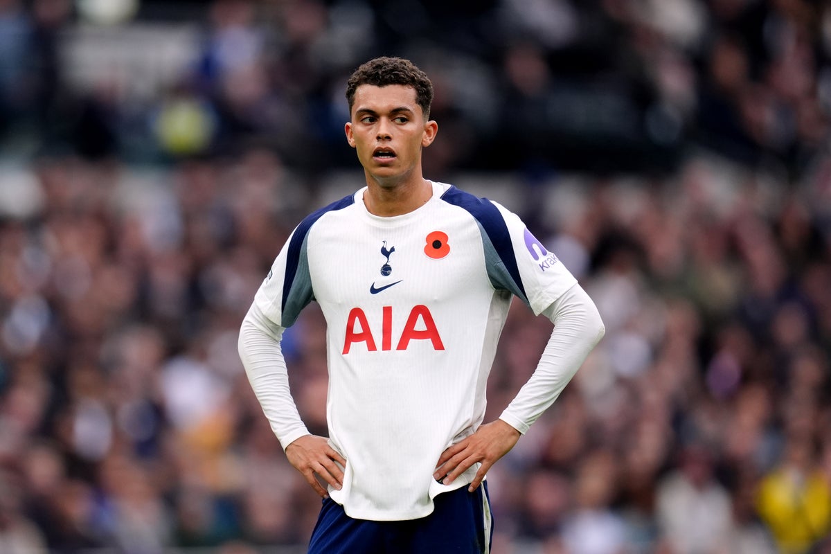 Crystal Palace complete signing of Tottenham Hotspur Europa League winner - The Independent