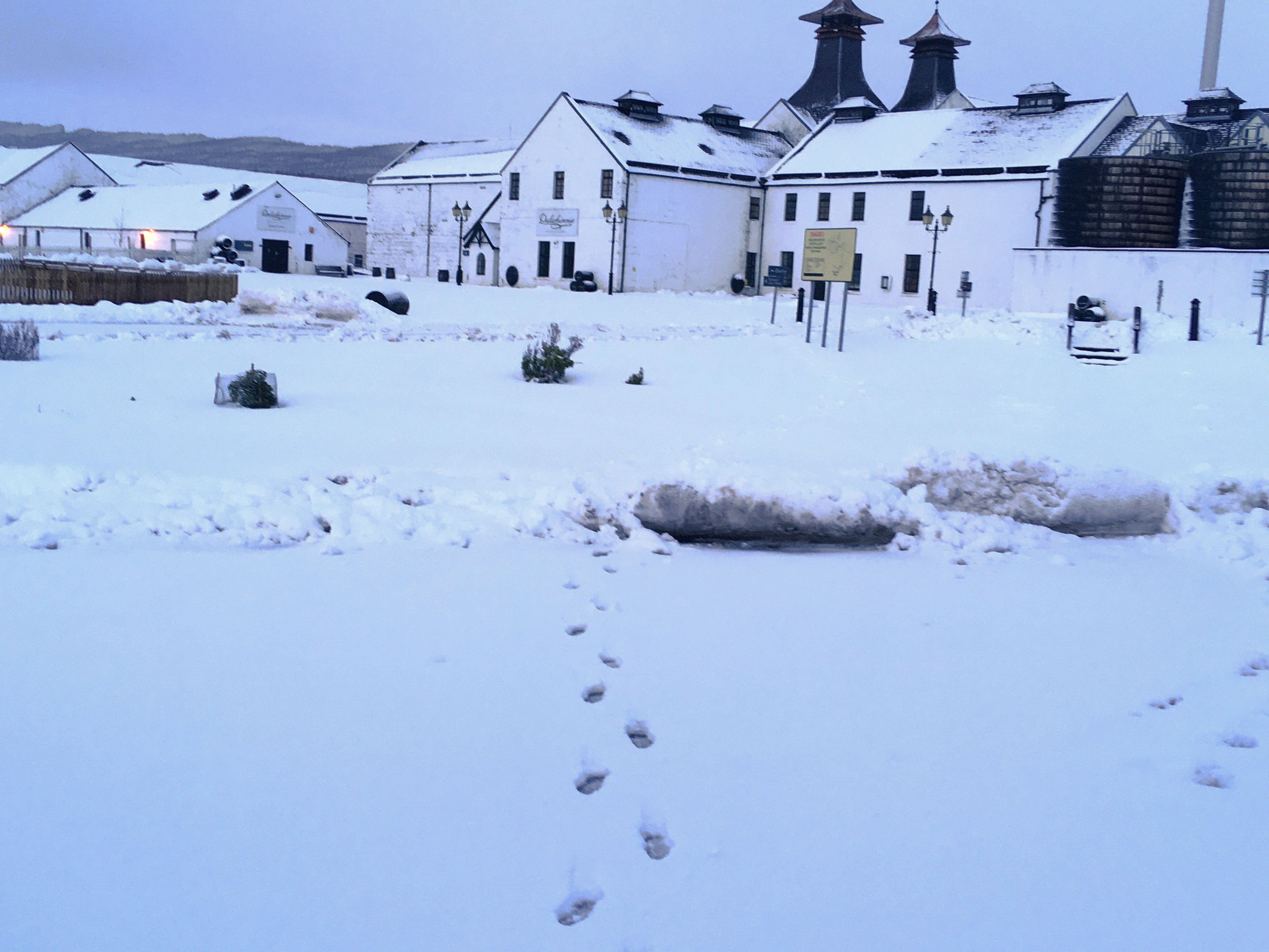 Dalwhinnie Distillery in the Cairngorms National Park in the heart of the Highlands has seen heavy snow