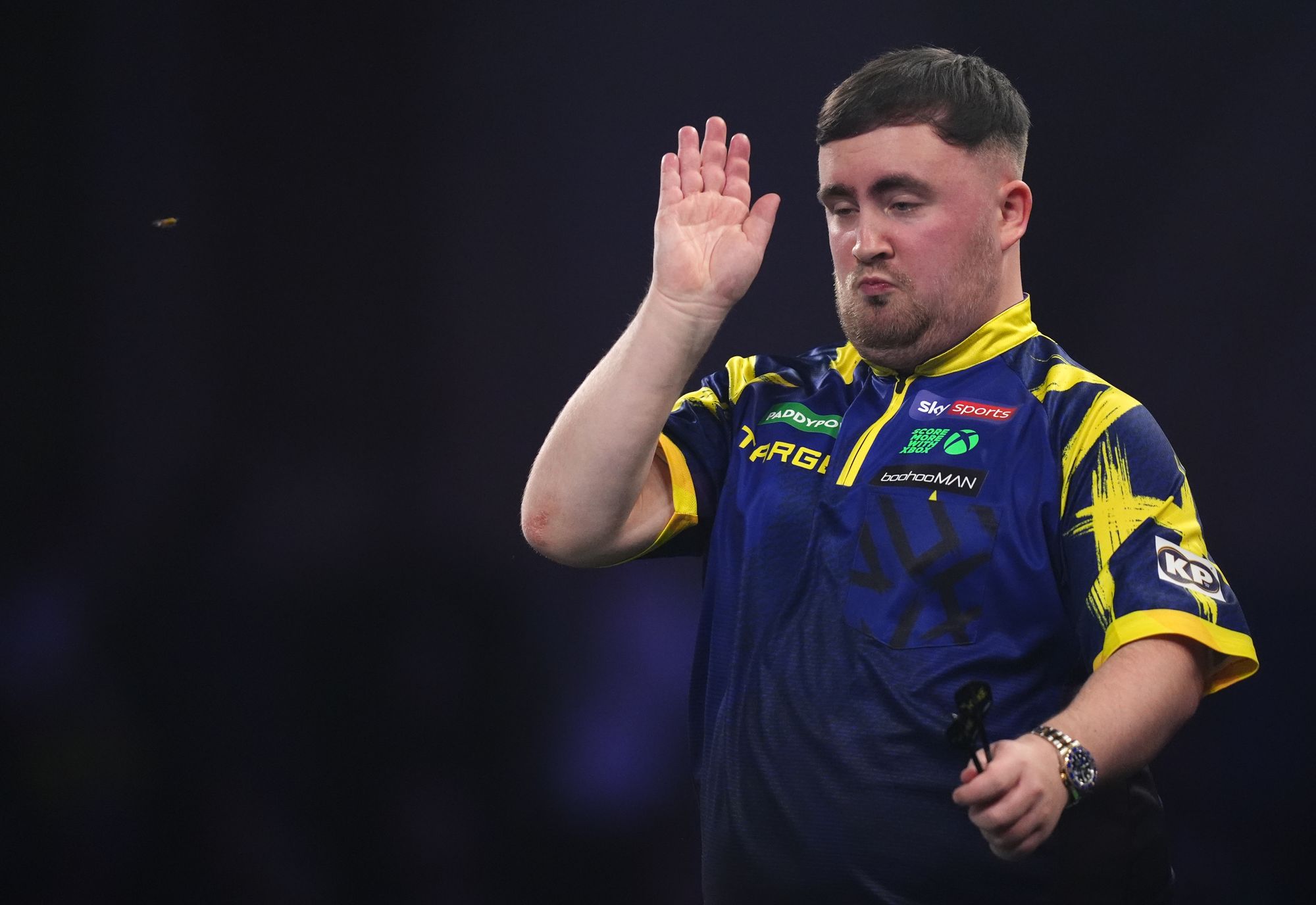 Luke Littler attacked by wasp during World Darts Championship final