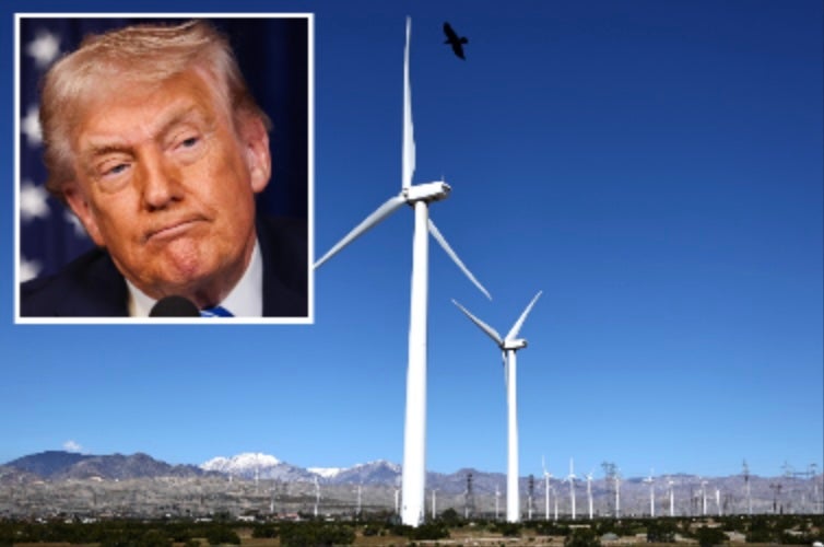 <p>President Donald Trump has again appeared to misidentify a bird species in a series of ranting social media posts about wind turbines, claiming, 'Eagles going down!'</p>
