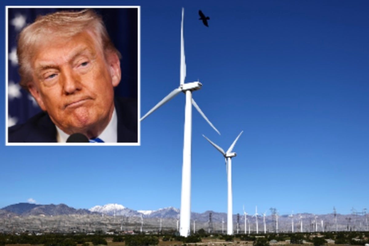 Trump again appears to misidentify bird species in series of ranting social posts about wind turbines: &lsquo;Eagles going down!&rsquo;