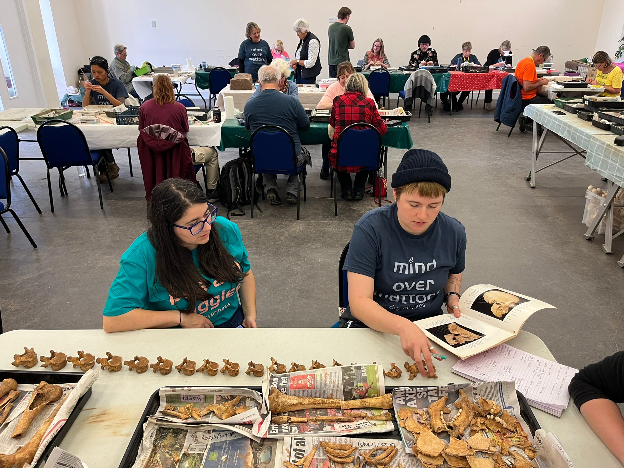 A skeleton identification session in the finds room