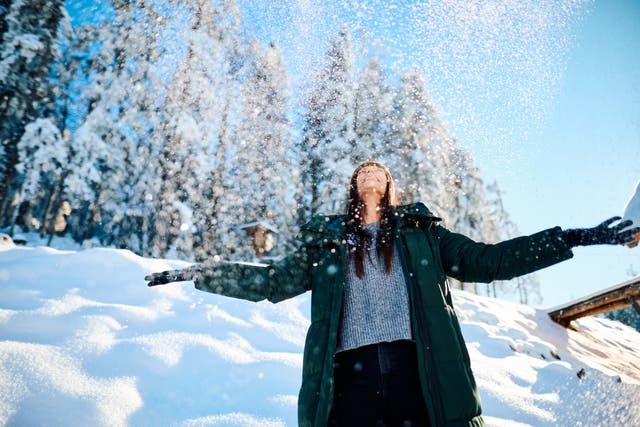 <p>Snow forms in the clouds above us</p>