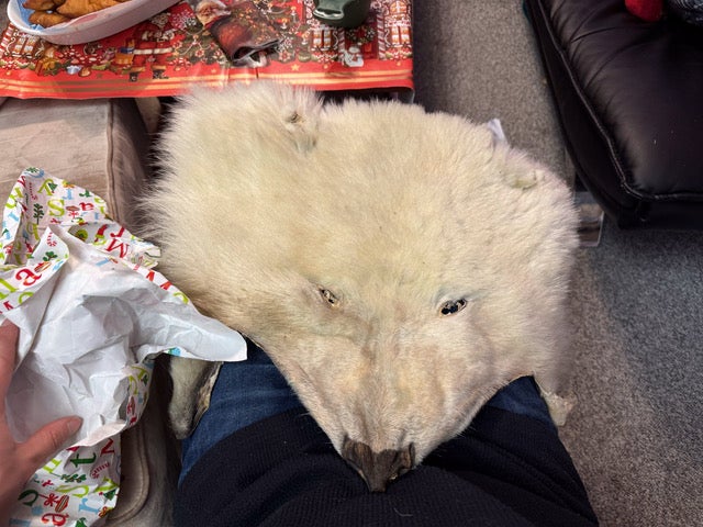 Dennis’s Christmas present in Savissivik – the skin of a polar bear