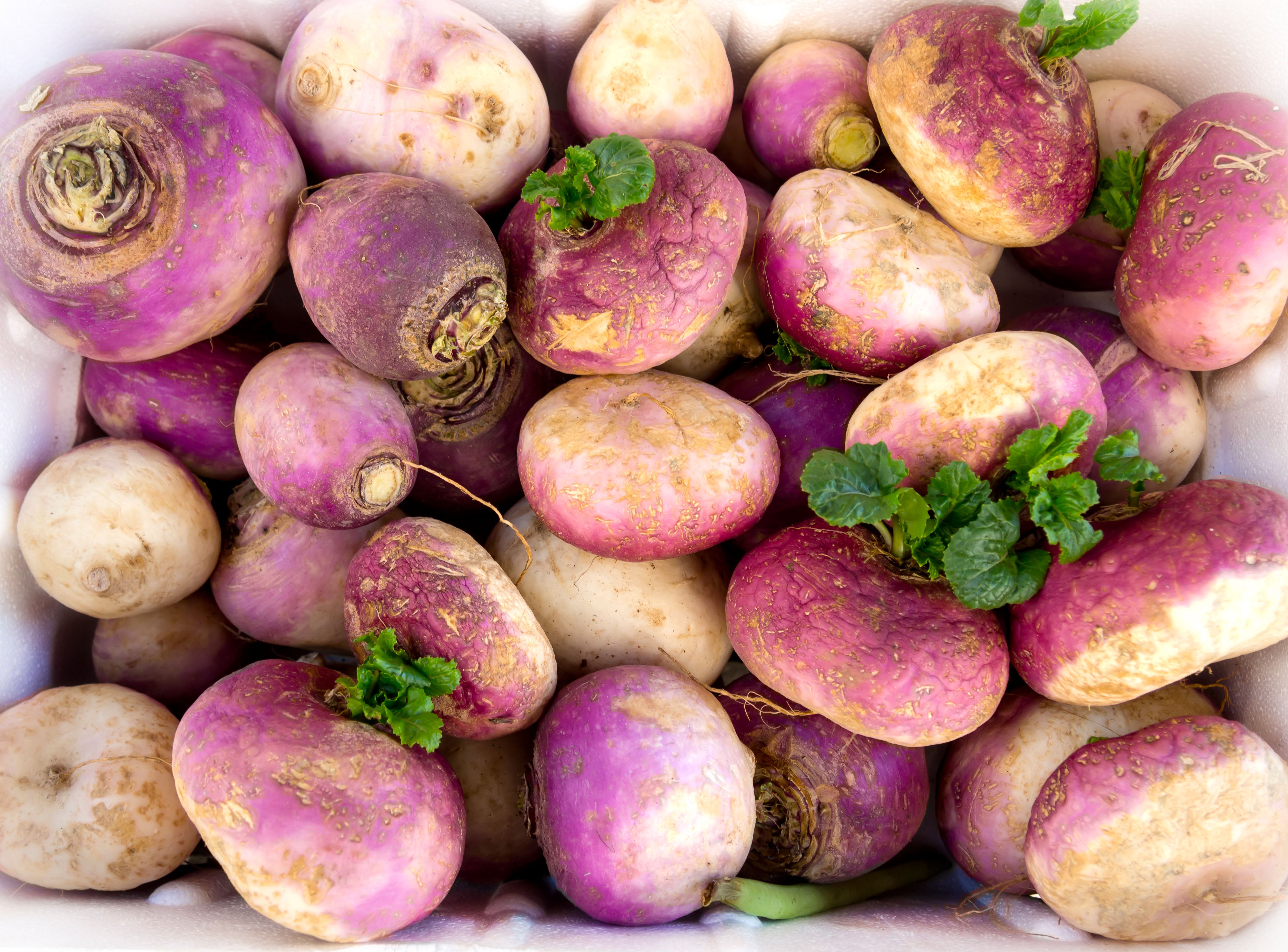 You will need to grow maincrop turnips if you want to harvest in winter