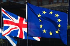 What is ‘dynamic alignment’ with Europe and will it reverse Brexit?