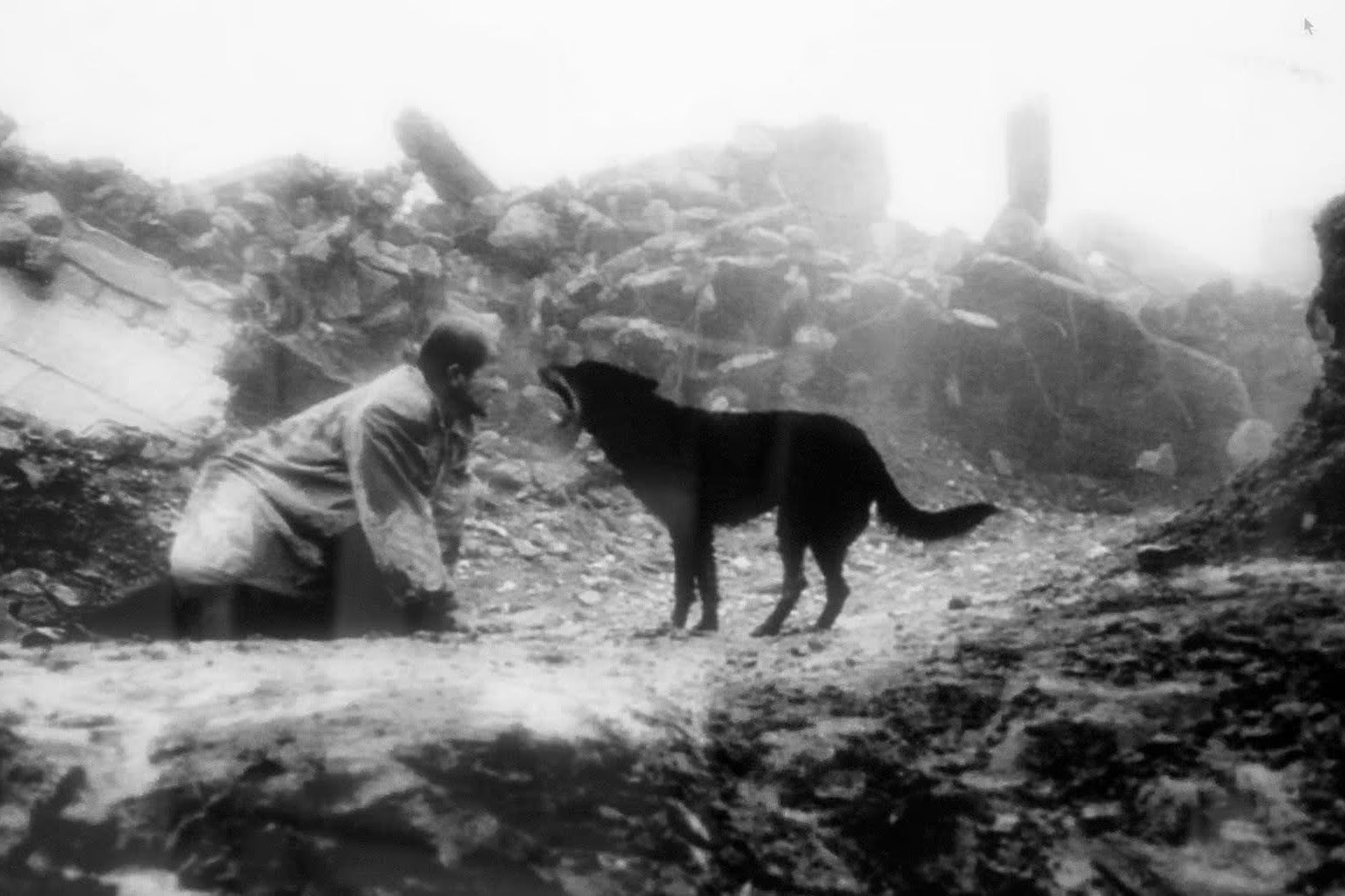 Béla Tarr’s 1988 film ‘Damnation’