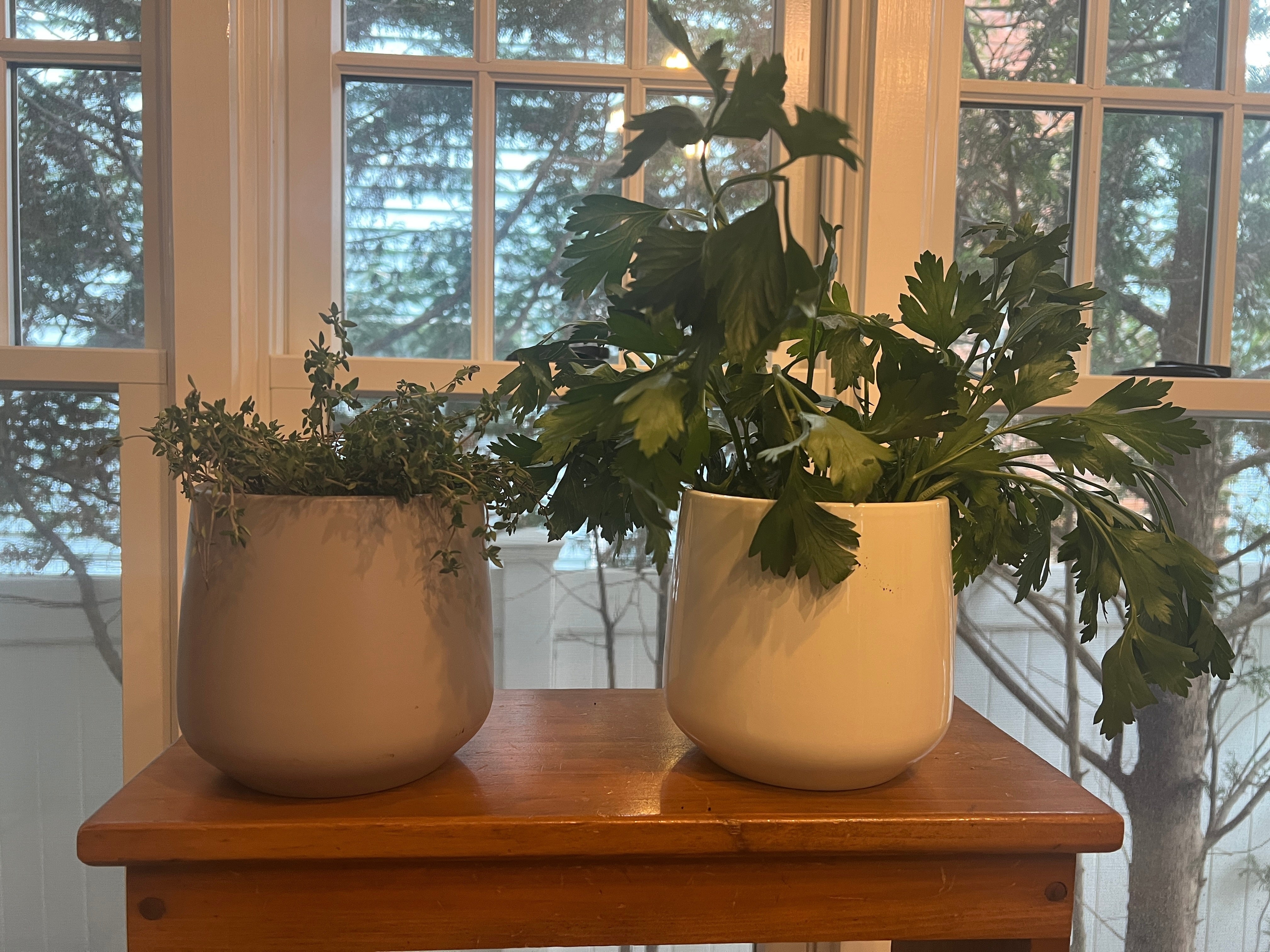 Gardening-Indoor Herbs