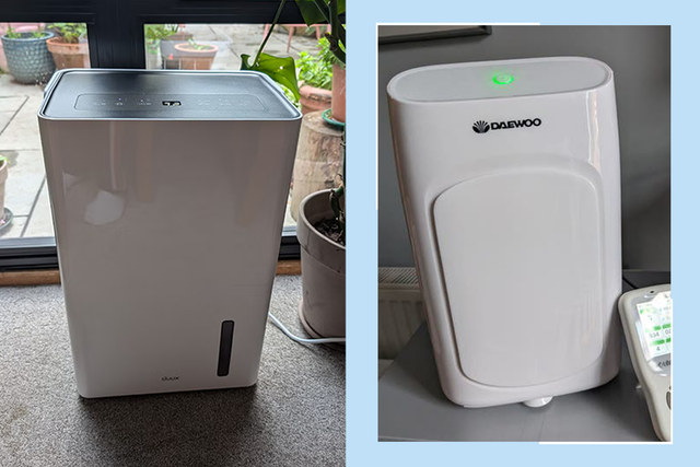 <p>I live in a home that’s prone to damp and mould, so I know exactly what to look for in a great dehumidifier</p>