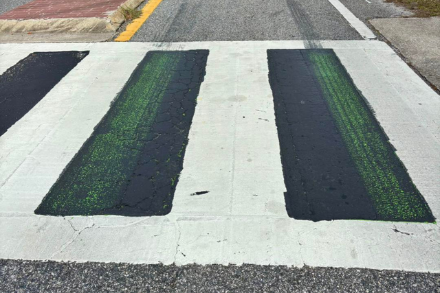 <p>Oviedo Mayor Megan Sladek shared a photo Monday showing green crosswalk paint peeking through the black overlay</p>
