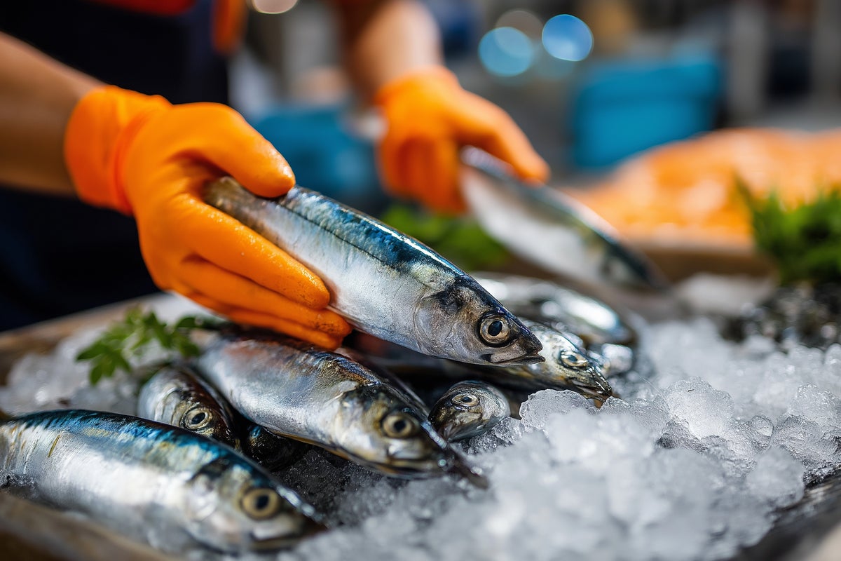 World&rsquo;s leading sardine exporter halts frozen supplies to rest of world