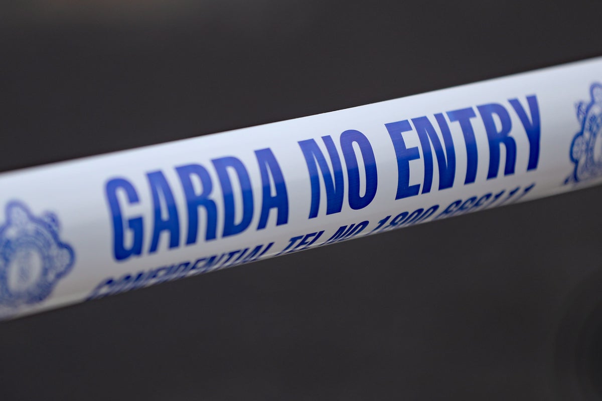 Multiple Fatalities Reported in Head-On Collision on Ireland's M9 Motorway
