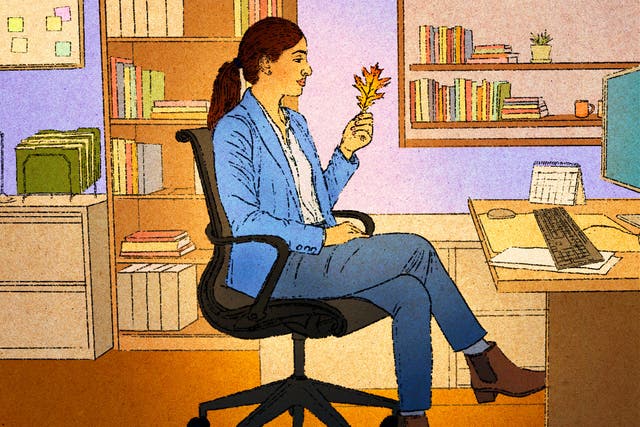 US-Working Well-Nature