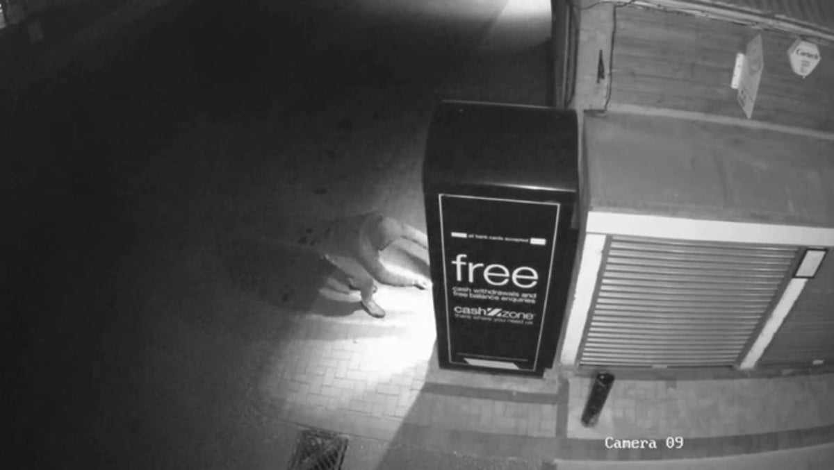 Image for Would-be-thief blows up ATMs with homemade explosives in failed attempt to steal cash