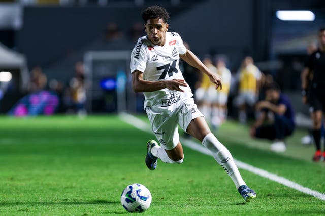 <p>The 19-year-old made 38 appearances for Santos before joining Spurs</p>