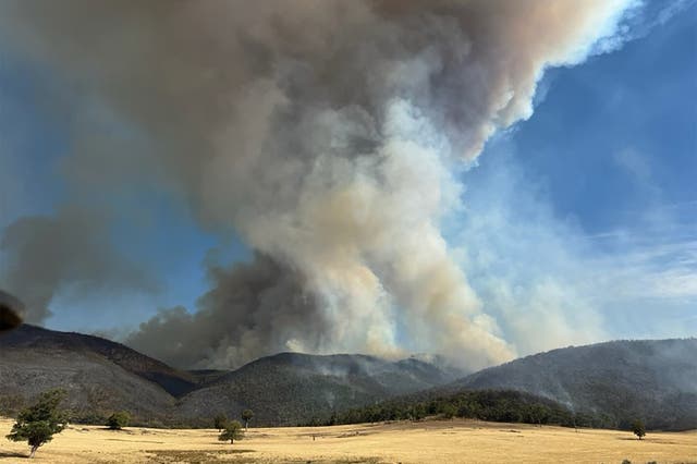 <p>A bushfire burning in the Mount Lawson State</p>