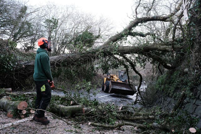 <p>A fallen tree is cleared from a road in St Stephen, Cornwall. Storm Goretti continues to batter the UK with tens of thousands of Britons across the country facing widespread power cuts, travel disruption and school closures. Picture date: Friday January 9, 2026. PA Photo. Photo credit should read: Matt Keeble/PA Wire</p>