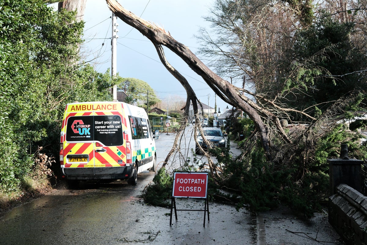 Man killed by tree falling on caravan as weather warnings remain after Storm Goretti