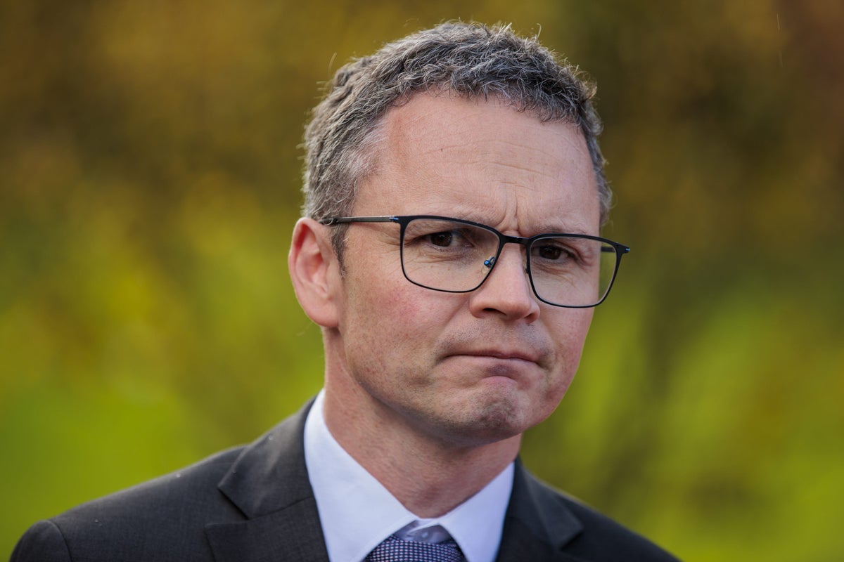 Irish minister deactivates X account over Grok sexual deepfake controversy