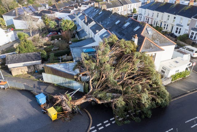 A fallen tree in Falmouth, Cornwall (Matt Keeble/PA)