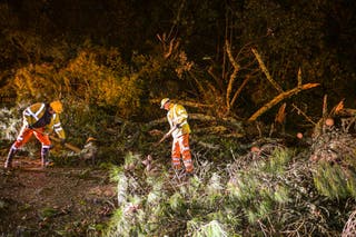 Council workers clear fallen trees from a road after Storm Goretti passed through at night on 8 January 2026 in Falmouth, Cornwall, England