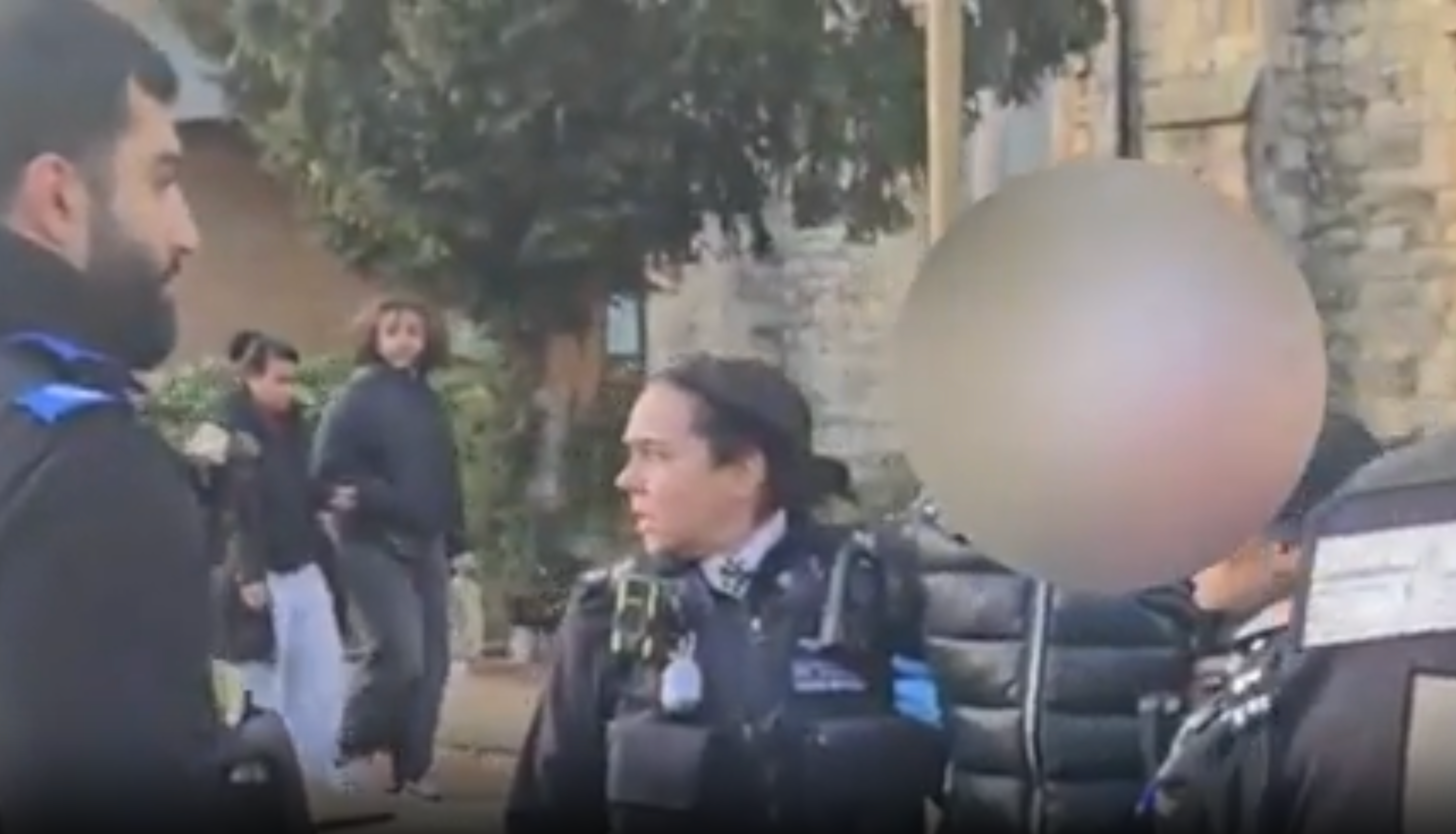 Video posted on social media shows the woman being detained by a group of at least six police officers and council enforcement workers in Harrow, London