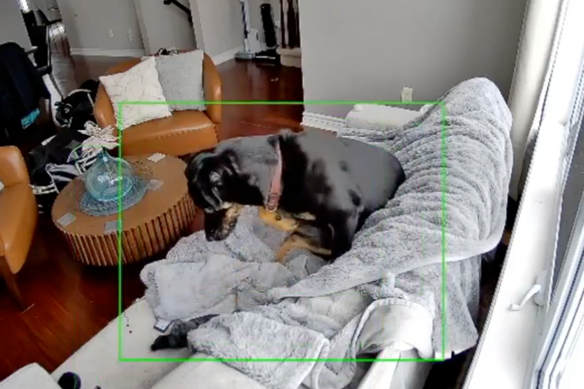 Screenshot-2026-01-12-at-11-33-04.png?width=1200&amp;auto=webp&amp;trim=0,125,0,124