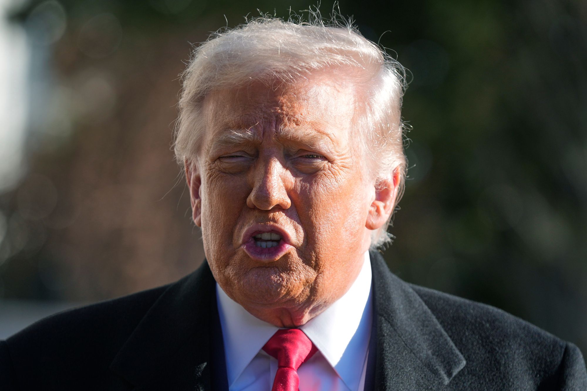 <p>This move, formally set in motion last November, will trigger sanctions against one of the Arab world's oldest and most influential Islamist movements</p>