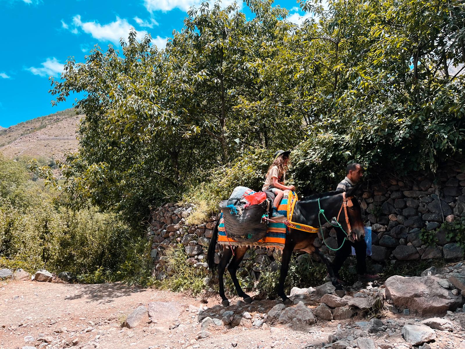 Ruby's son wants to be an inventor when he is older