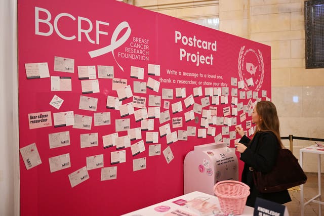 <p>New data from the American Cancer Society shows a cancer survival is at a historic high in the U.S. </p>